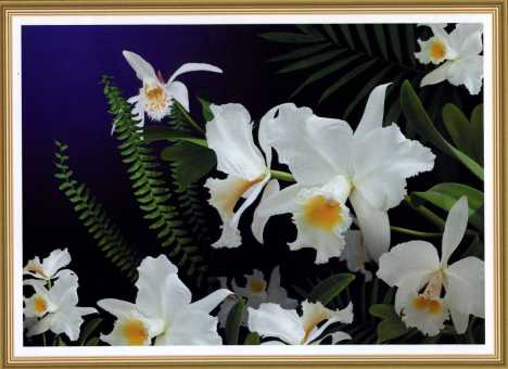 Фотообои Дикая орхидея 194*268